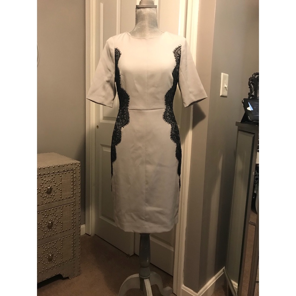 The Limited Scandal Collection Dress